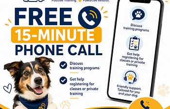 Book Let’s Talk Dogs