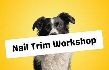 Book Husbandry Workshop: Nail Grinding 