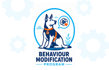 Book Behaviour Modification Program