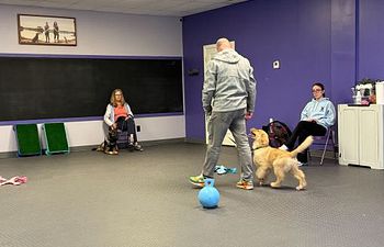 Book Marvelous Manners: Walking Wonders