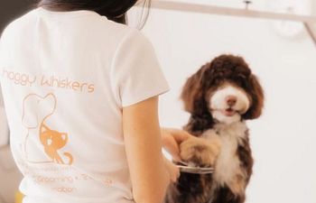 Book Spruce Up 1: X-SMALL