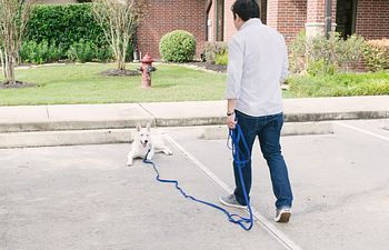 Book Beyond Basics Class at Lake Olympia Animal Hospital