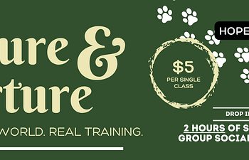 Book Nature & Nurture