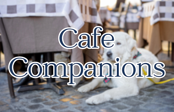 Book  Cafe Companions