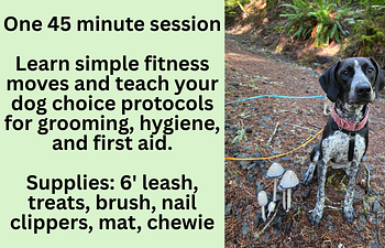 Book Practice Session: Fitness & Cooperative Care