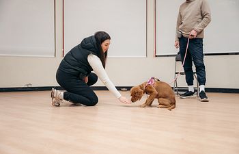 Book Coaching Session 