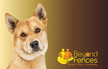 Book Private Session - Beyond Fences