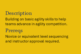Book Agility Skills