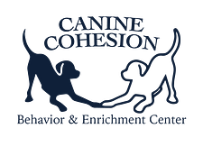 Canine Cohesion Asheville