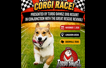 Book The Great Corgi Race  Registration