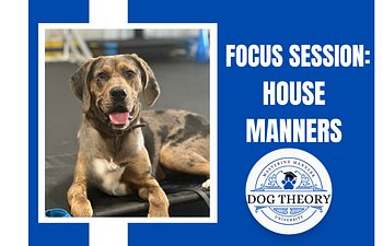 Book Focus Session: House Manners