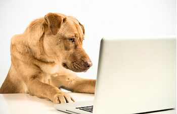 Book Free Introductory Connection Call