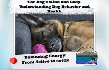 Book The Dog's Mind and Body: Balancing Energy: From Active to Settle 