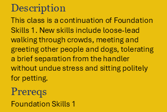 Book Foundation Skills II