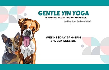 Book Yin Yoga with Ruth - Featuring Leonardo or Maverick!