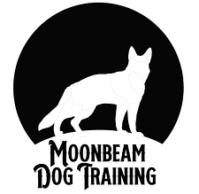 Moonbeam Dog Training