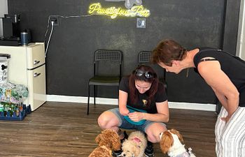 Book Level 1: Basic Obedience & Manners