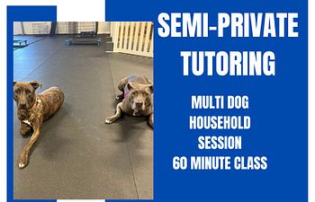 Book Private Tutoring-Semi Private 60 Minute