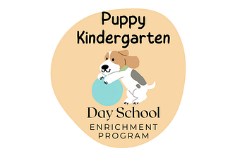 Book Puppy Kindergarten