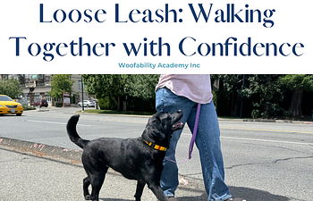 Book Loose Leash: Walking Together with Confidence