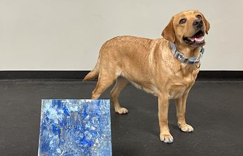 Book Pop Up! Paint With Your Pup