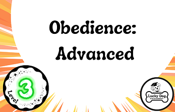 Book Level 3 | Obedience: Advanced