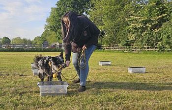 Book K9 Nose Work® At the Farm