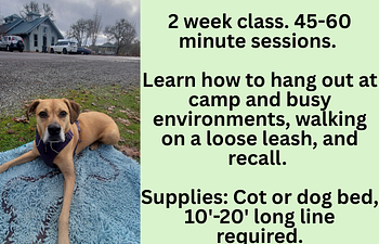 Book Workshop: Camping Skills