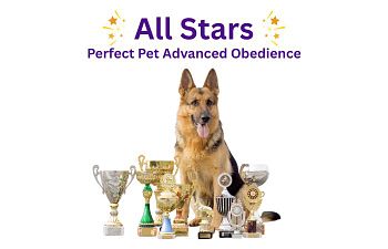 Book All Stars (Perfect Pet Advanced Obedience)