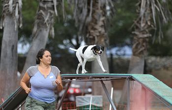 Book 30 Minute Private Agility Lesson