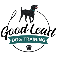 Good Lead Dog Training