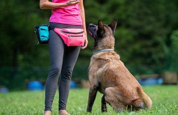 Book Private Training