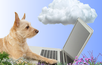 Book Souly Pathway - Private Virtual Session - Souly Clouds