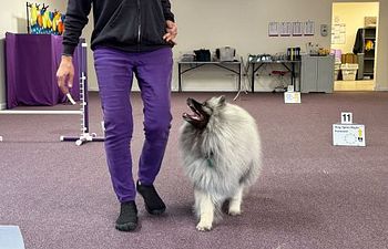 Book Rally Run Thrus