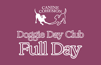 Book Day Club Full Day