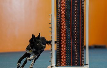 Book Agility Foundation Level 1 Open Enrollment Daniel 