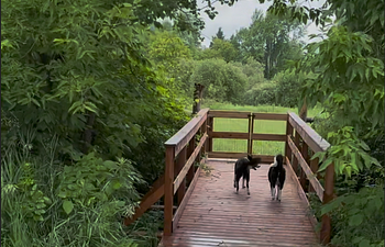 Book Rental Off-leash Trails - 1 hour