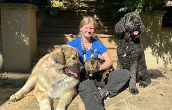 Book Puppy Classes with Madeline (Sundays at noon)