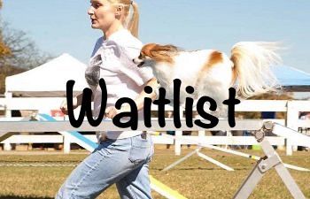 Book Beginning Agility II - Beyond The Basics