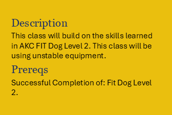 Book Fit Dog level 3