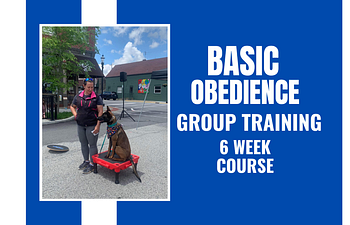 Book Basic Obedience 