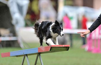 Book Agility | Level 3 Intermediate