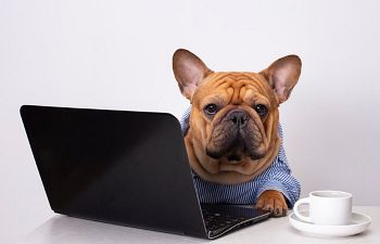 Book Private Training (Virtual)