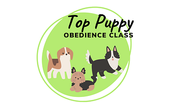 Book Top Puppy Program Part 1