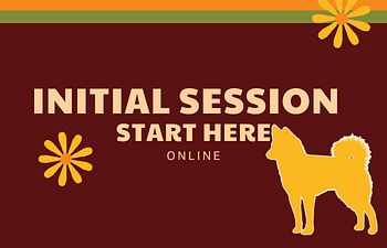 Book 1. Initial Session - Online 💻 