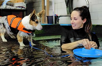 Book Swim Training Lesson