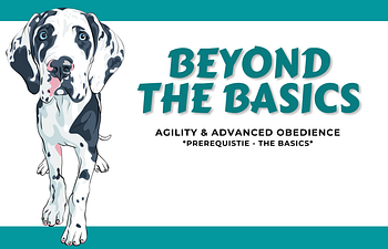 Book Devon - Beyond the Basics