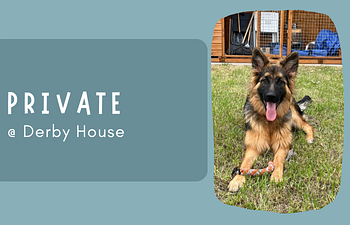 Book Private Session @ Derby House