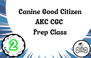 Book Level 2 | AKC Canine Good Citizen Prep Class