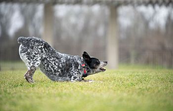 Book Workshop: Brain Games